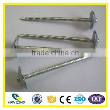 Roofing Nail Factory 3 Inch Electro Galvanized Twisted Shank photo-2