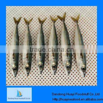 frozen seafood and fish