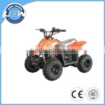 110cc ATV RAIDER quad CE (XW-A07)