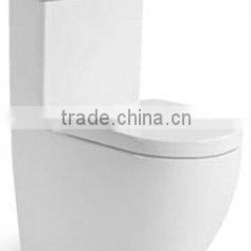 Sanitary Ware Two Piece S-Trap P-Trap washdown Toilet