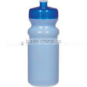 20 Oz. Frosted Fitness Bottle