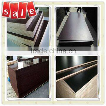 25mm Concrete Casting Plywood/Construction Plywood