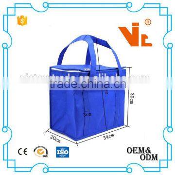 V-CB001 Plastic new design inner cool lunch bag