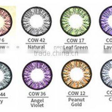 1 year contact lenses Colors of the Wind lenses eye color korean