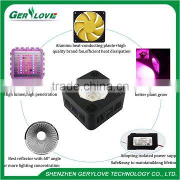 Gerylove Led Grow Light COB 100W 200W Full Spectrum for Tomato Growing photo-5