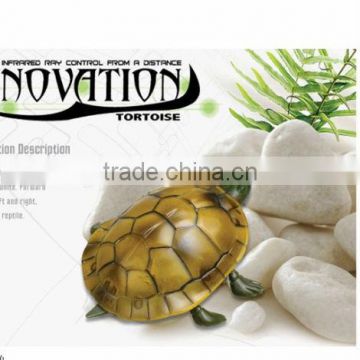 HOT !!! Infrared RC Tortoise Toys with EN71,EN62115,HR4040,7P,EN60825,ROHS,EMC,Cd, test report