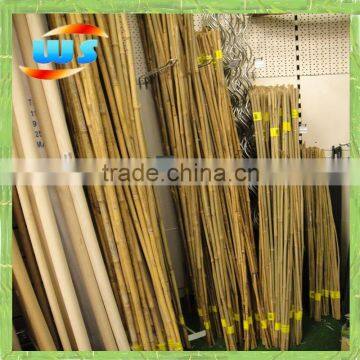 Bamboo cane sells in the supermarket