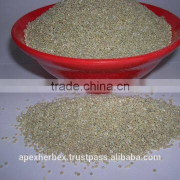 Quinoa / Chenopodium Quinoa / Quinoa Grain /Quinoa Bulk Grain photo-5