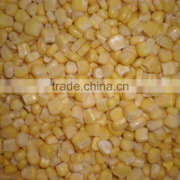 2016 harvest iqf frozen yellow corn sweet corn kernels