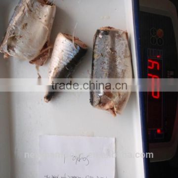 high quality Canned jack mackerel in brine