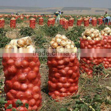 Fresh Red Onions Fresh Yellow Onions Turkish Onions