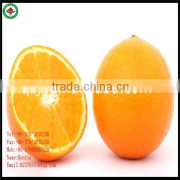 Mandarin Orange Seeds