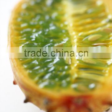 Kewana seeds Jelly Melon Seeds The horned Melon For Growing