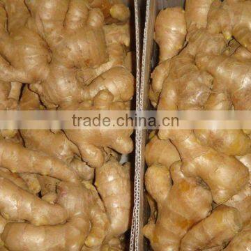 Fresh air dried ginger