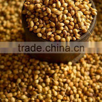 CORIANDER SEEDS