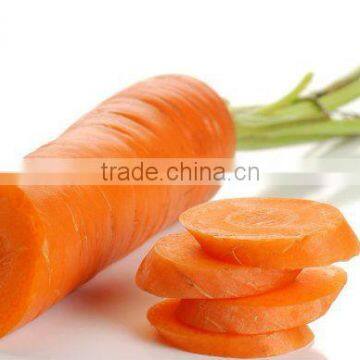 AD dehydrated carrot flakes
