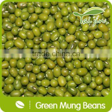 High Quality Green Mung Beans Foul Medames photo-4