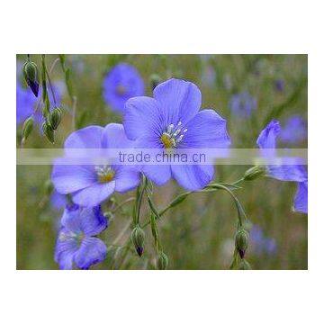 Rich in DHA&EPA Flax Seed Oil (ALA:35-65%) With FDA&KOSHER photo-3