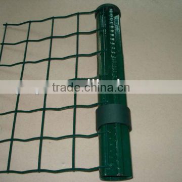 Holland electric welded wire mesh/HDG wire/best quality