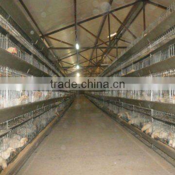 Chicken cage for broilers/chicks/pullets