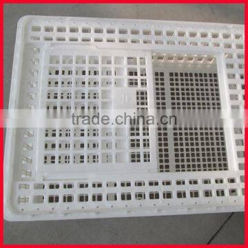 Hot sale Plastic Chicken Transport cage for poultry