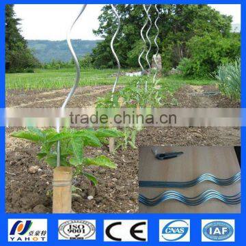 Tomato Spiral Plant Support