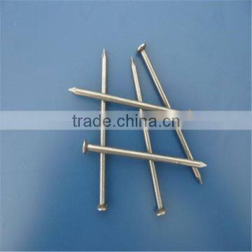 1/2"-13" High Quality Common Nails/ Stainless Steel Nail photo-3