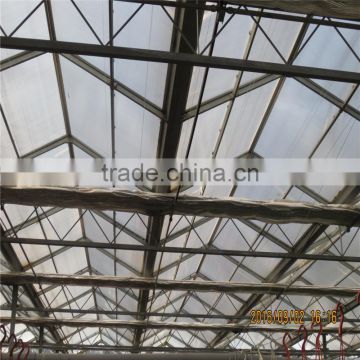 Green House For Agriculture Ventilation