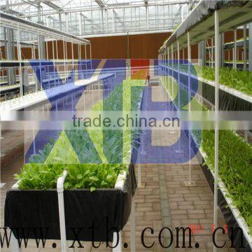 Single Layer Poly Film Greenhouse