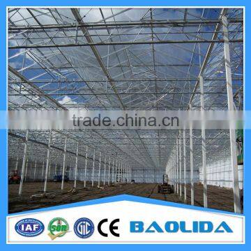 Fiberglass Greenhouse Covering photo-6