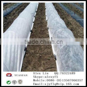 Welded PPSB Non Woven Fabric for Agriculture photo-6