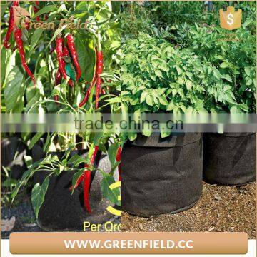 Eco Friendly Garden Felt Grow Bags Recyclable Fabric Plant Grow Bag photo-5