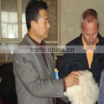 Pressed Wool Felt for Industry photo-5