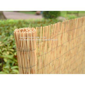 High Quality Reed Fence ,natural Bamboo Reed Fence,various Size Reed Fence