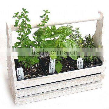 Wooden Herb Planter, Herb Garden Tool Box, Oval Seed Planters With Tray