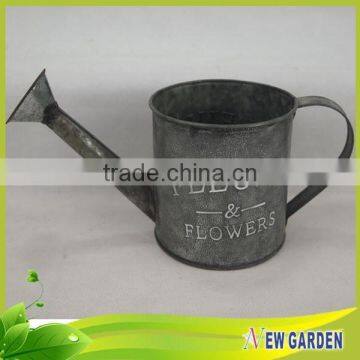 Decorative Flower Pot / Watering Can for Plant / Different Shapes Pot photo-2