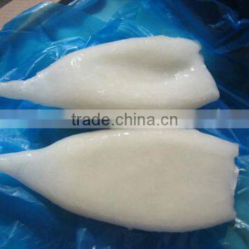 Frozen illex squid tube with nice quality