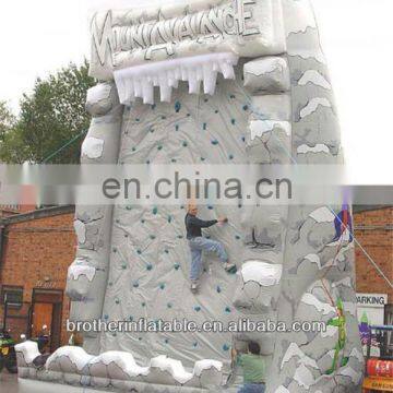 Amusement Park Inflatable Avalanche Climb China Supplier