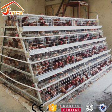 4 tier chicken layer cages automatic poultry cages galvanized wire mesh battery broiler cage price for Uganda Philippine