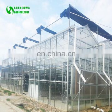 2017 New Design Glass Greenhouse For Mushroom