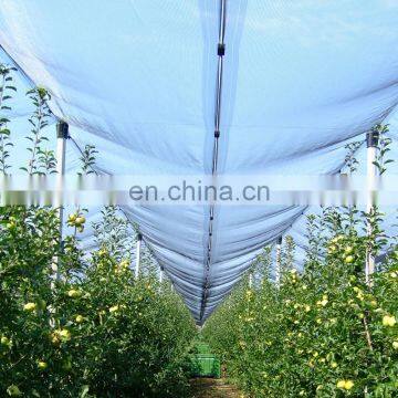 50gsm HDPE mono Agriculture anti hail net