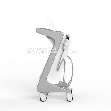 2020 Most Popular Best Wrinkle Removal Scarlet Beauty Salon Equipment Microneedle Fractional RF