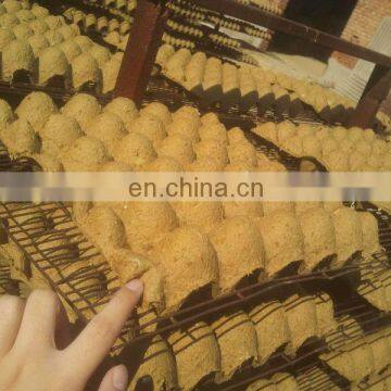 Waste Paper Recycling Machine