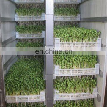 250kg/d automatic bean sprouts machine/bean sprout growing machine