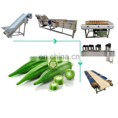 hot selling fruit and vegetable air-drying line