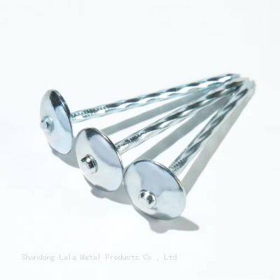 Galvanized Umbrella Head Roofing Nails South Africa photo-2