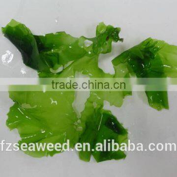 Dried Ulva Lactuca Grind Seaweed from china