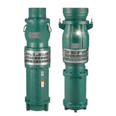 Agricultural Irrigation High Head Submersible Pump - Stainless Steel Multi-Stage Pumped Deep Well Pump