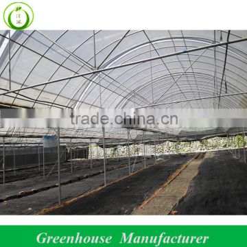 Multi-span Factory Greenhouses