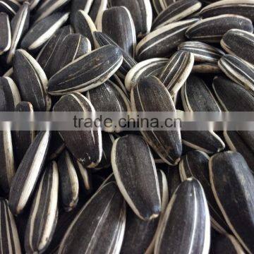 Sunflower seed ton price